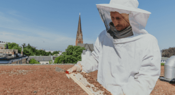 Imker Maxim mit seinen Bienen